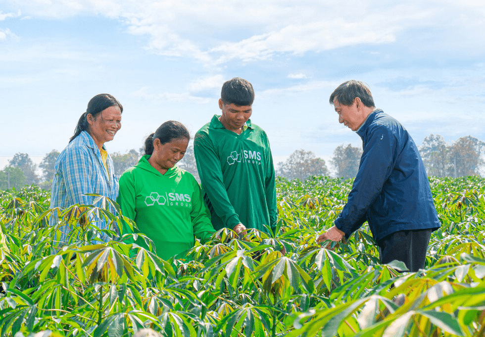 CMD-Free Future: SMS Group's Vision for Thai Farmers and Cassava Industry 