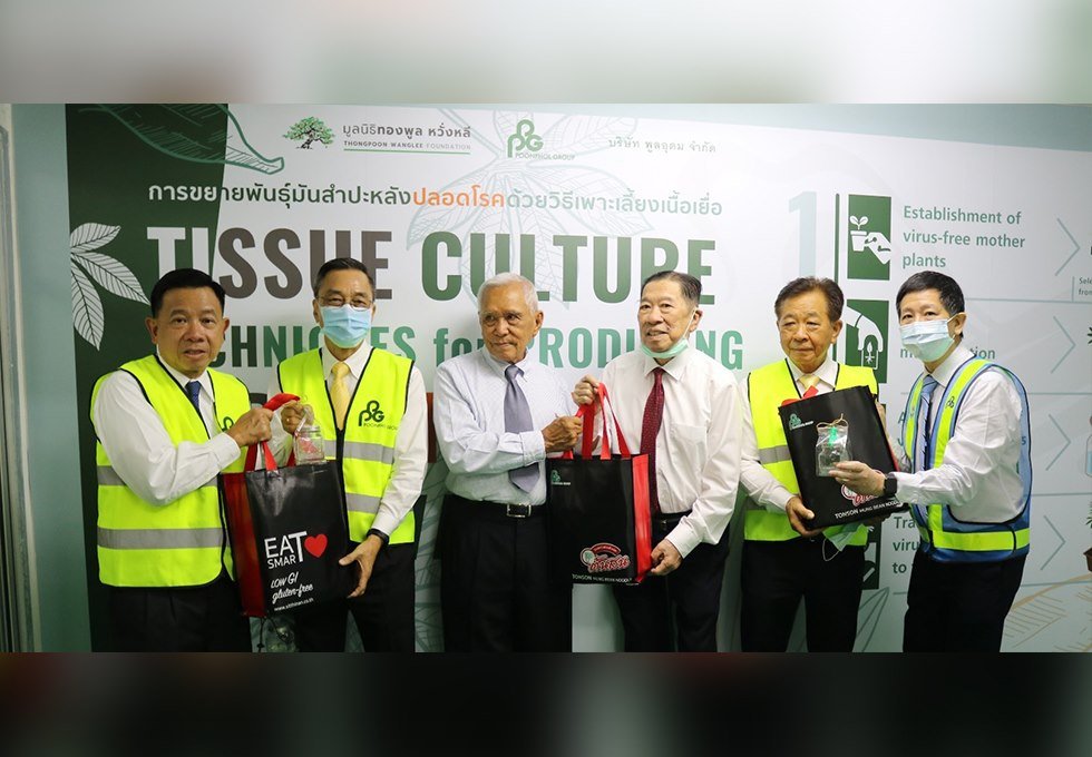 Tissue Culture Project preventing Cassava Mosiac Disease